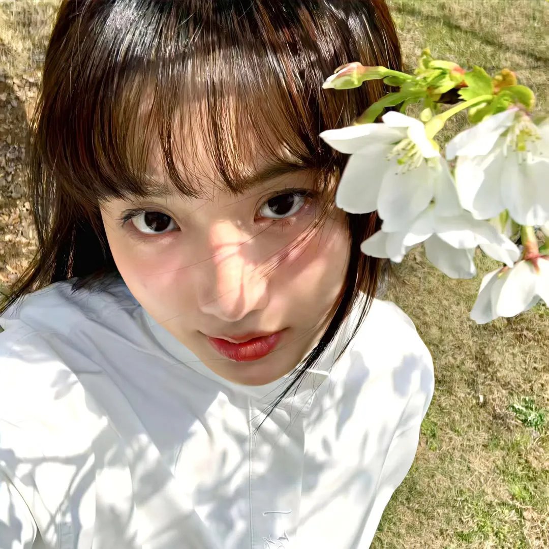 蝴蝶春梦